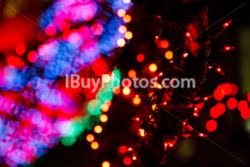 Photo: Christmas Light 021