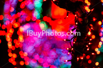 Photo: Christmas Light 023