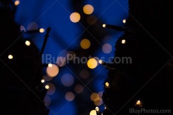 Photo: Lumière Noël 024