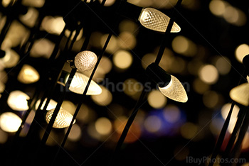 Fairy lights at night with bulbs and electric wires