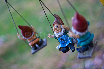 Garden gnomes on swing, with red hoods