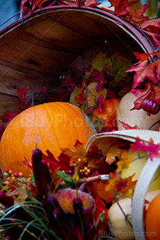 Halloween vegetables, with pumpkins and squashes in basket