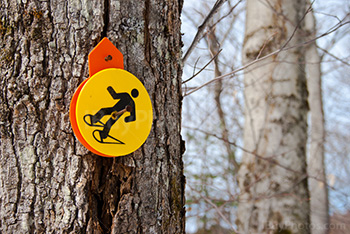 Snowshoeing sign on tree trunk in Winter
