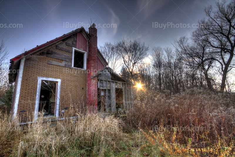 Abandoned house among bushes and tree in HDR photograph