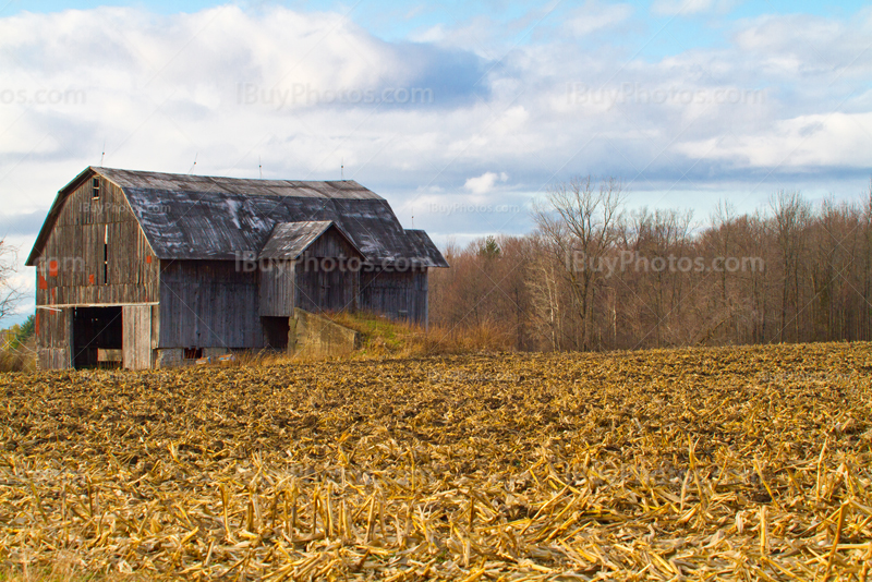 Barn in field with trees and clouds in sky