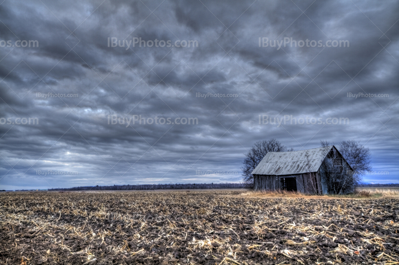 Abandoned barn in mud and corn field in HDR