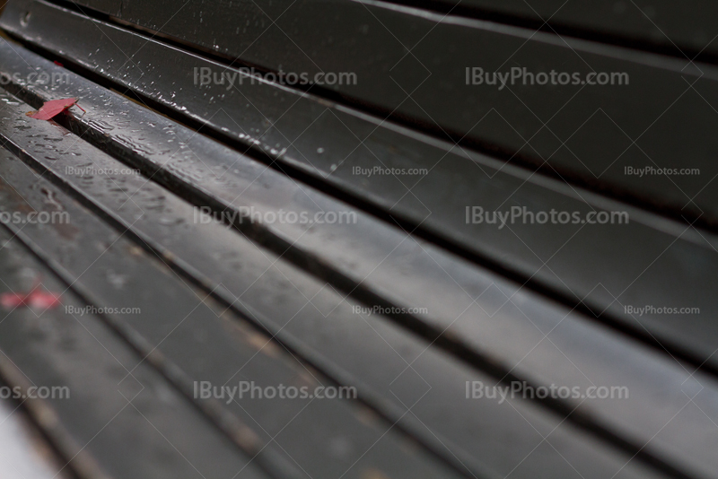 Gouttes de pluie et feuilles sur un banc