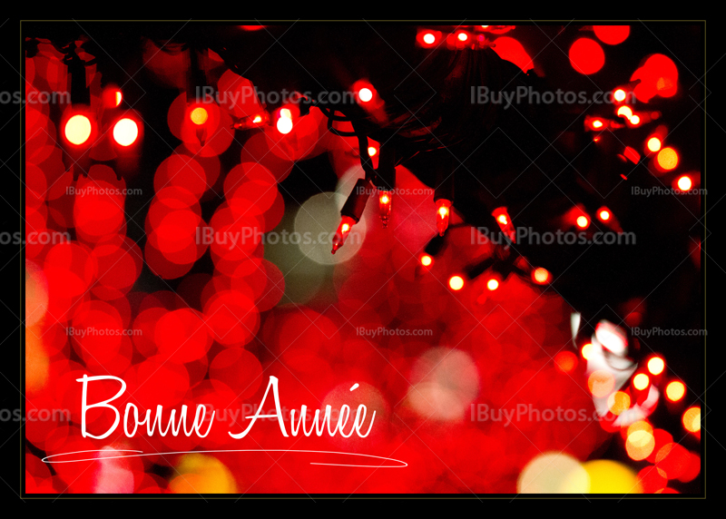 Carte Bonne Annee 003 Photo Card bonne annee 003