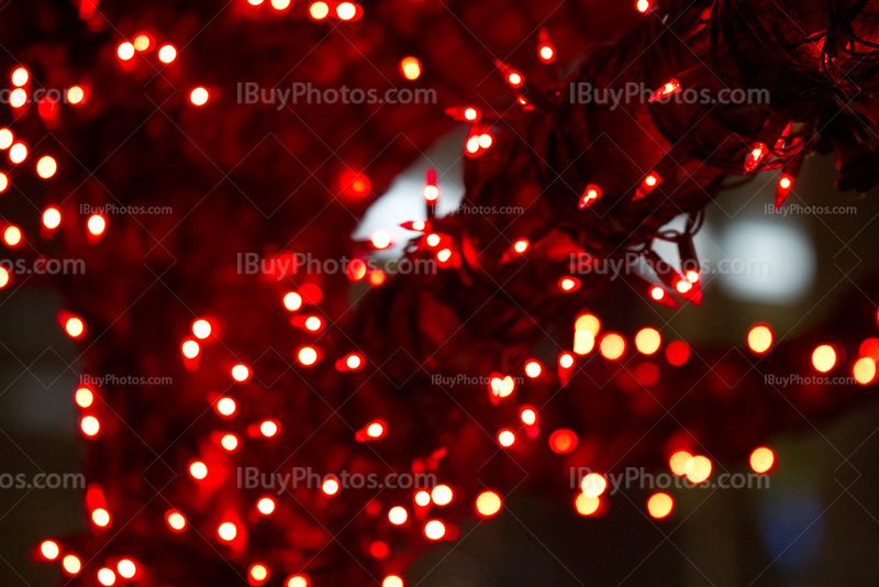 Red Christmas lights in tree for Holiday Season