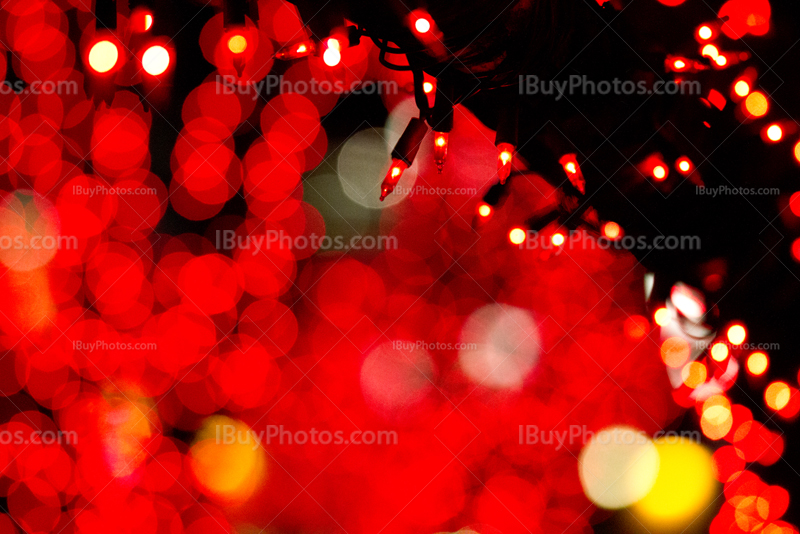 Christmas lights on branch with reddish colors