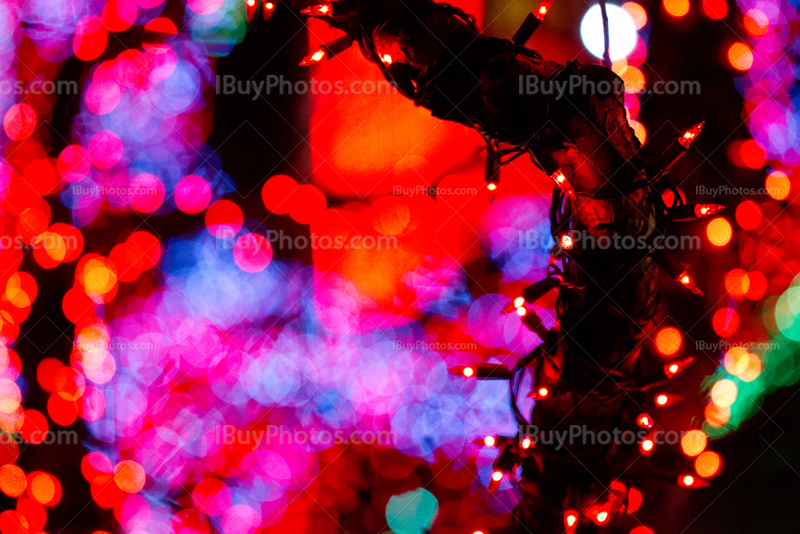 Christmas tree lights and colored gleam lights