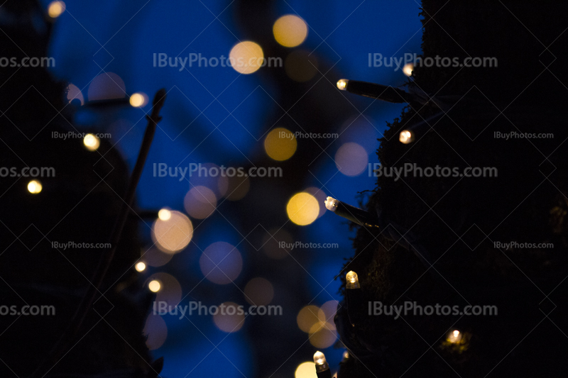 Christmas light 024