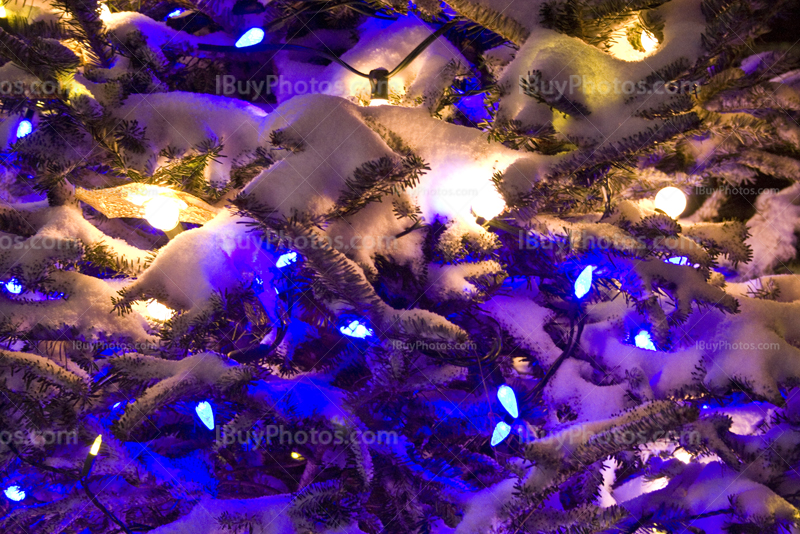 Christmas tree cover by snow with lights