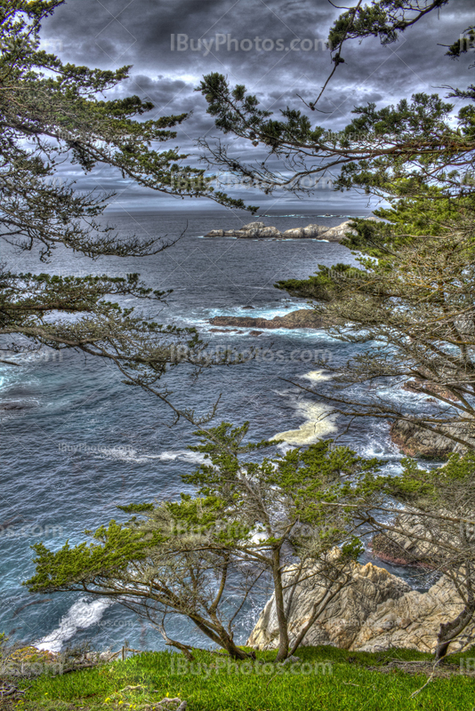 Côte Californienne avec des arbres et l'océan Pacifique avec des vagues