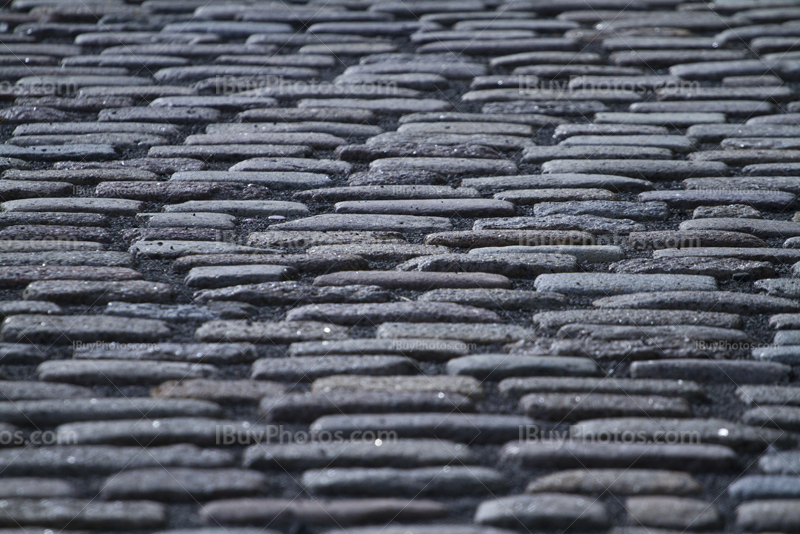 Cobblestones sidewalk in street