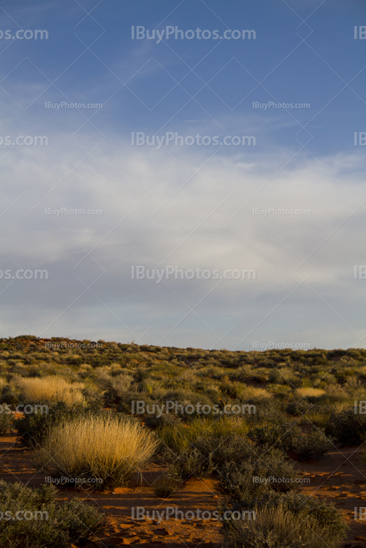 Coucher de soleil sur désert en Arizona, avec buissons et ciel nuageux