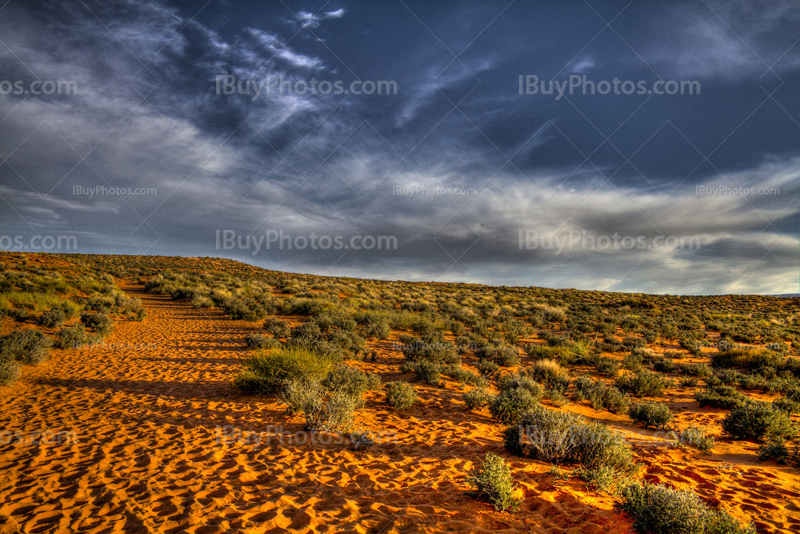 Désert en Arizona avec ciel nuageux et petits buissons, photo HDR