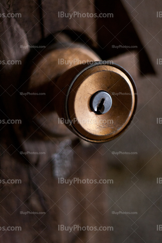 Golden door handle close-up