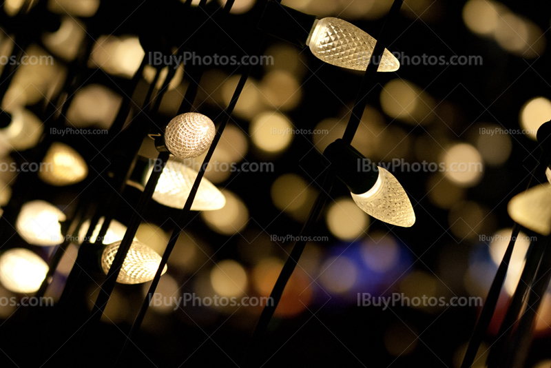 Fairy lights at night with bulbs and electric wires