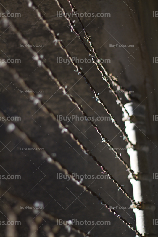 Grillage et fils barbelés sur clôture