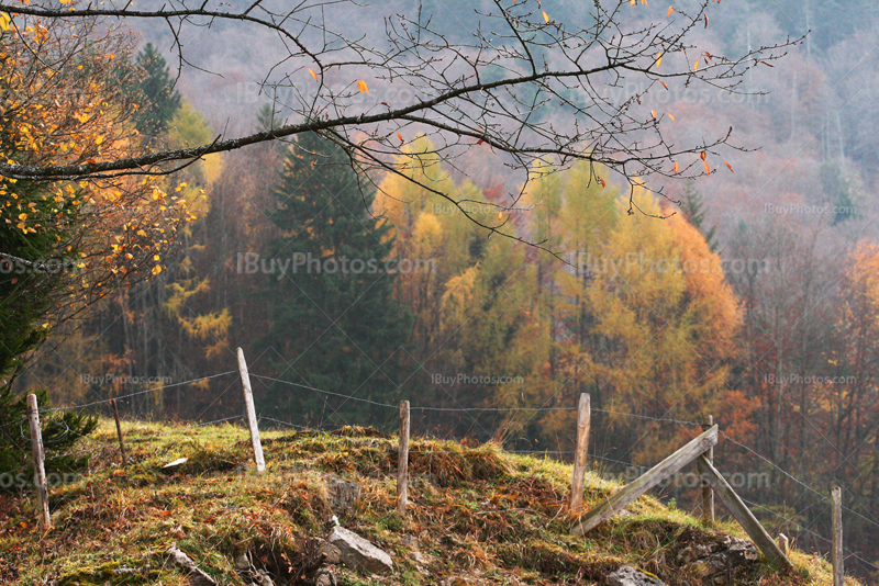 Fence on hills with wooden posts and barbed wires in Autumn