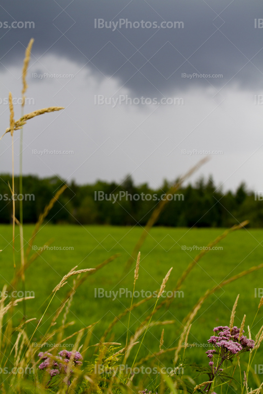 Orage avec nuages gris au dessus des champs