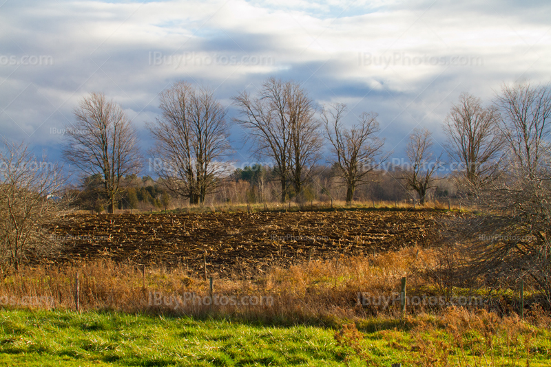 Mud field and trees under cloudy sky in Quebec