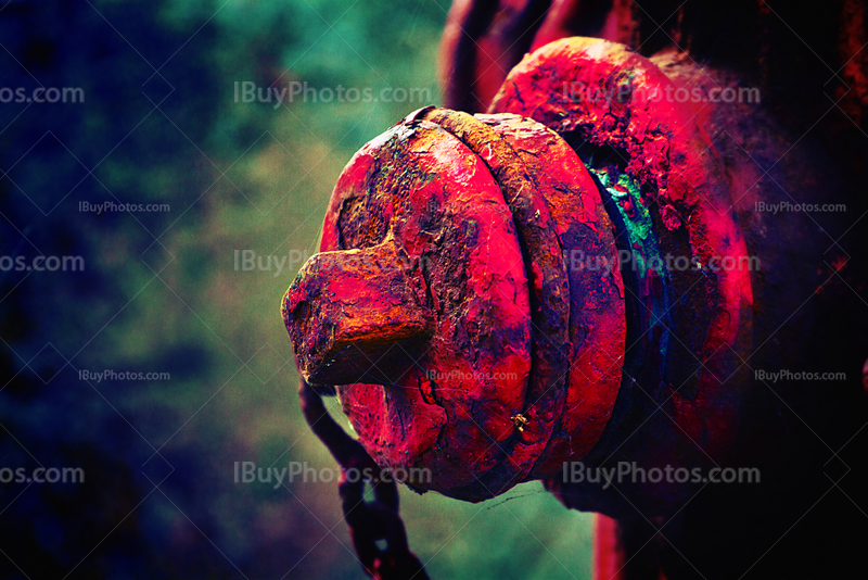 Fire plug LOMO photograph