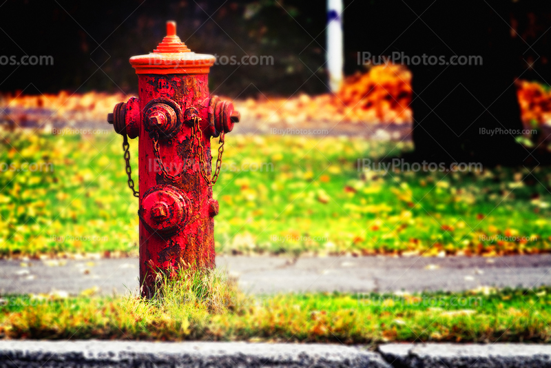 Fire plug LOMO photography on sidewalk in street