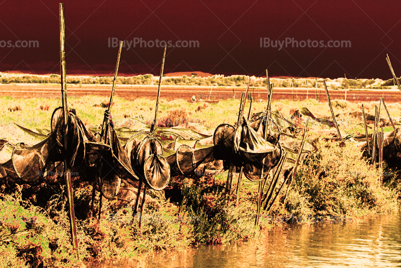 Filets de pêche sur bord canal et étang, Camargue en France