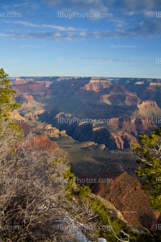 Grand Canyon view with horizon, blue sky and bushes on foreground