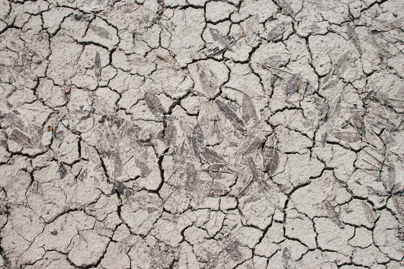 Cracked dry ground and soil