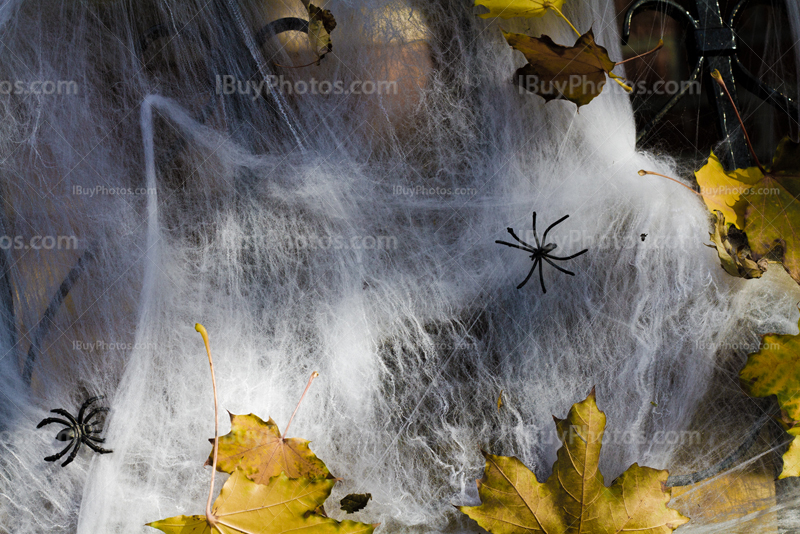 Halloween spiderweb with plastic spiders and autumn leaves