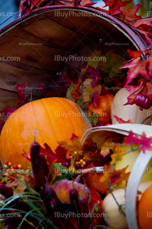 Légumes pour Halloween, citrouilles et courges dans panier