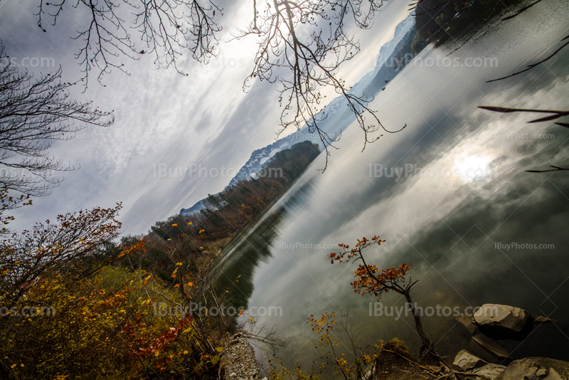 Bord lac de Gruyère avec arbres