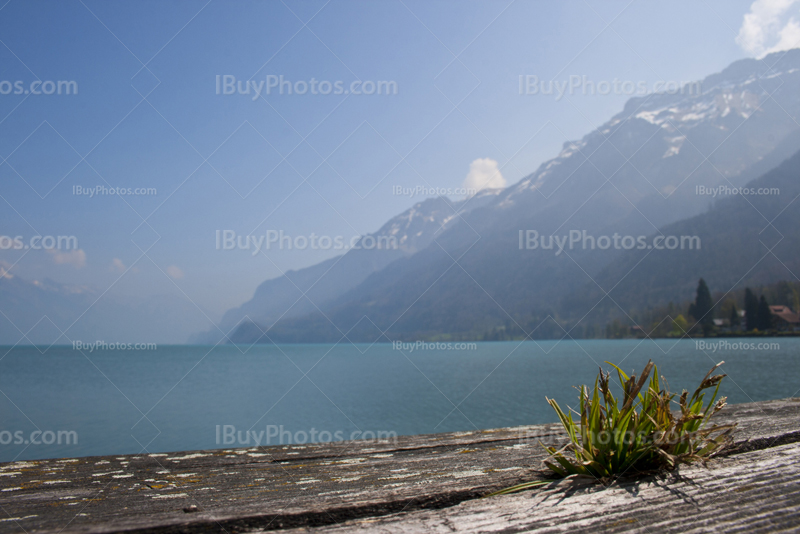 Lac de Brienz en Suisse, Brienzersee près d'Interlaken
