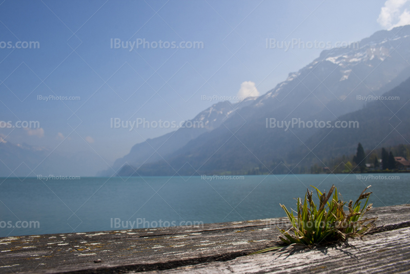 Brienzersee in Switzerland, Lake Brienz near Interlaken