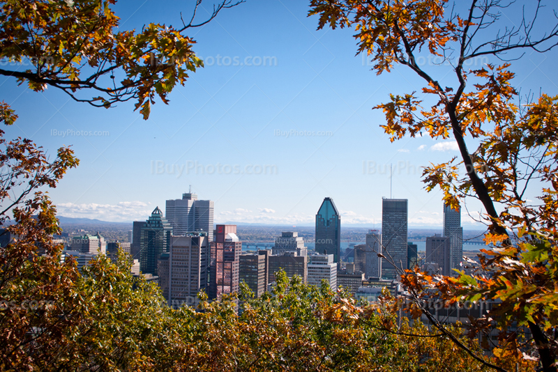 Skyline de Montréal vue du Mont Royal en Automne