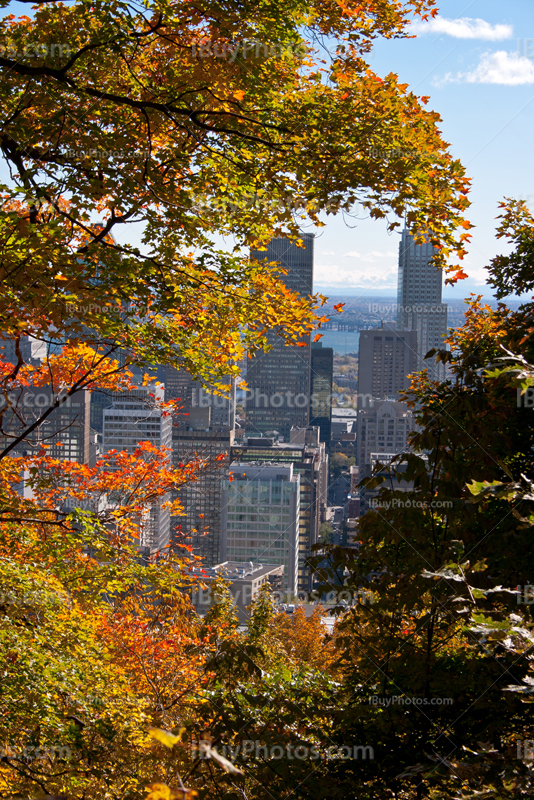 Centre ville de Montréal vu depuis le Mont Royal avec feuiles d'Automne