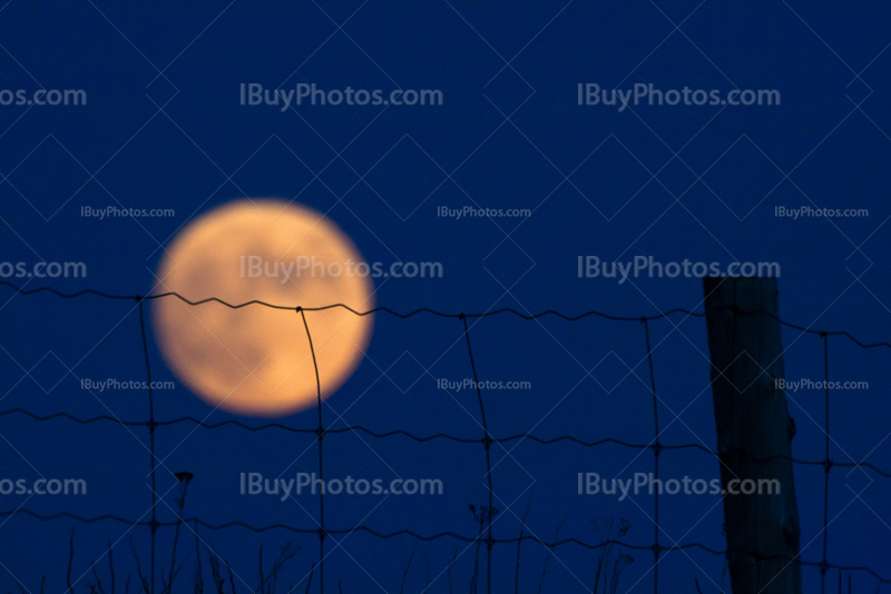 Pleine Lune derrière clôture avec poteau