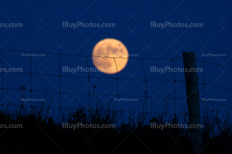 Pleine Lune derrière une clôture avec un poteau