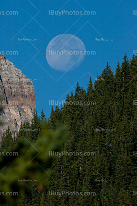 Moon above mountains and forest in Canadian Rockies
