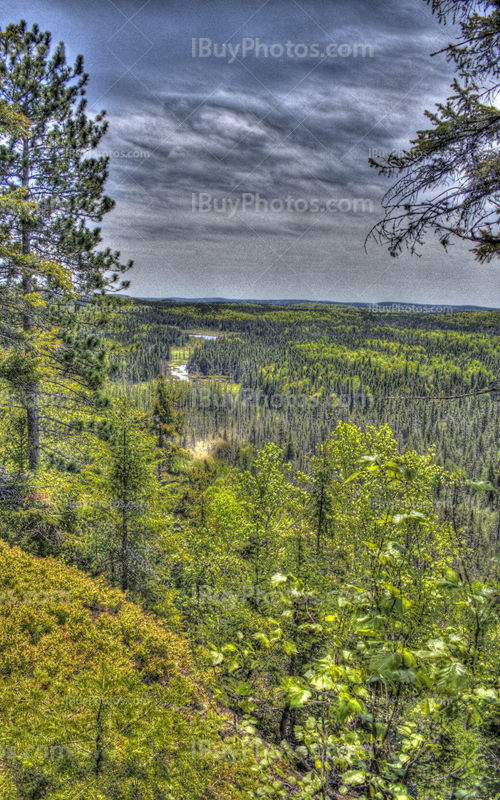 HDR mountain view above forest with fir trees and maple trees