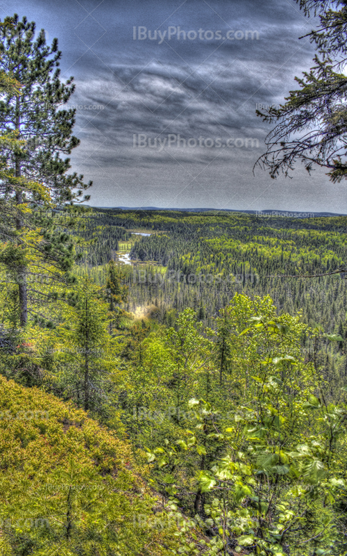 Vue HDR des montagnes au dessus de la forêt avec sapins et érables