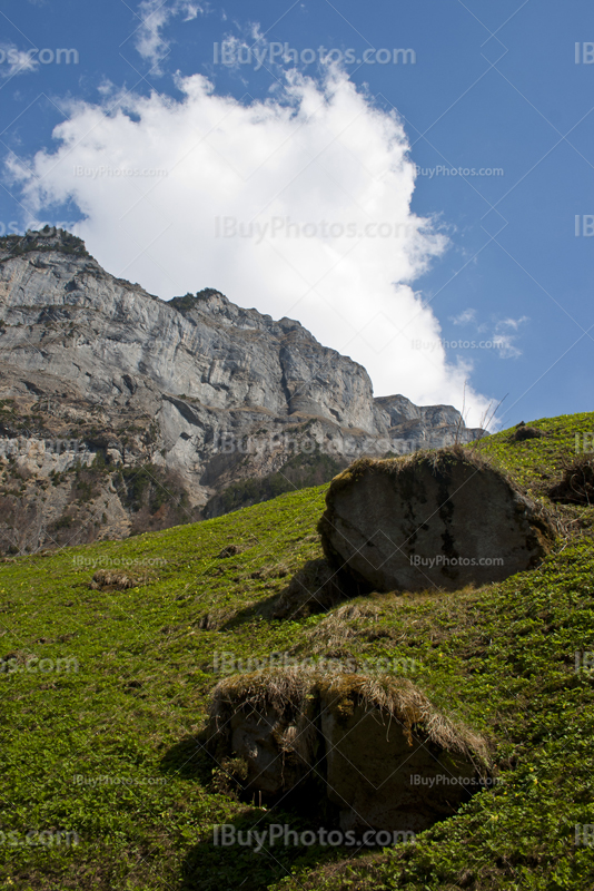 Swiss mountains with meadow and rocks