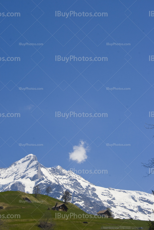 Snow-capped mountains in Switzerland with big blue sky and a meadow