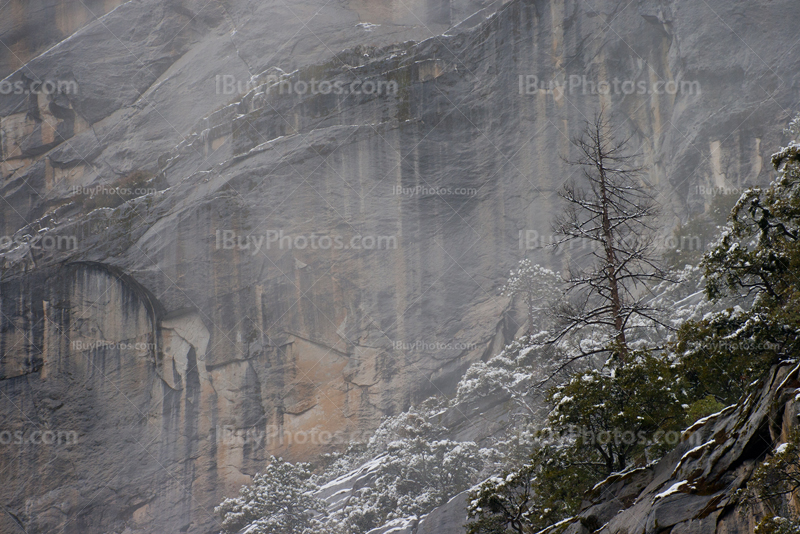 Falaise dans les montagnes avec un arbre sur le rebord, au parc Yosemite
