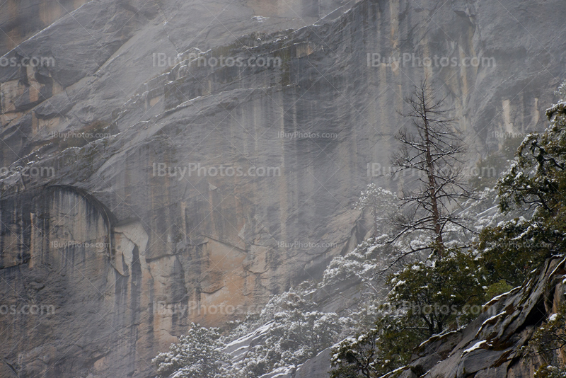 Yosemite mountain cliff with tree on edge