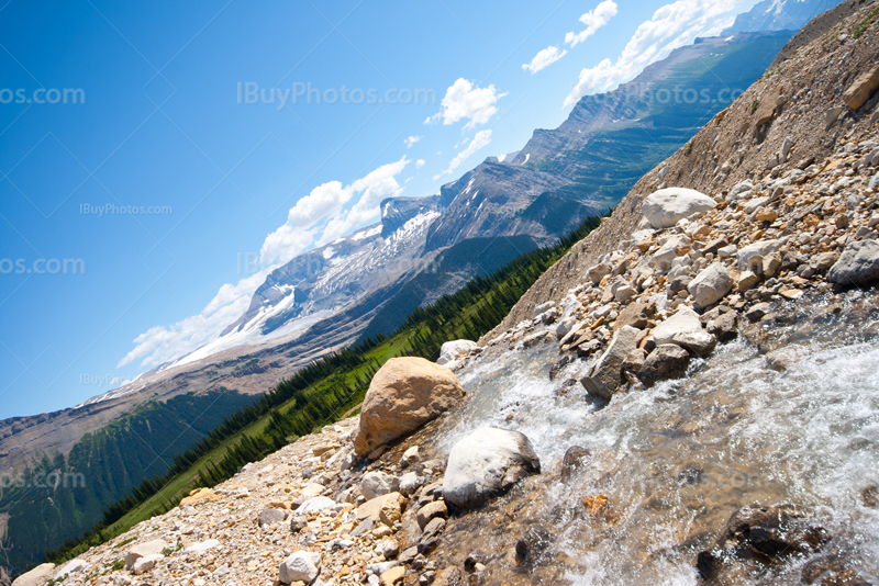 Sentier de haute montagne, Iceline Trail dans parc Yoho au Canada