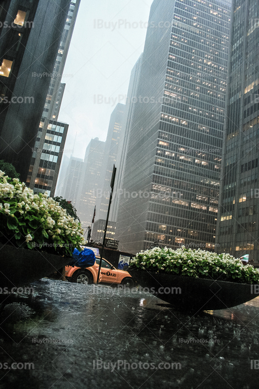 New york rain 001